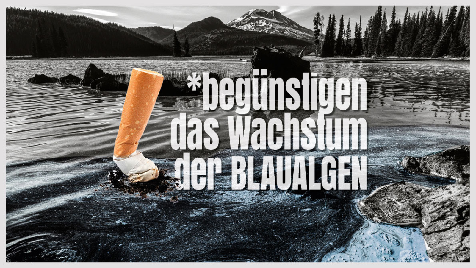 10BFT_TSCHICK_ROEHRL_BLOG_BLAU_ALGEN_A1