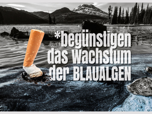10BFT_TSCHICK_ROEHRL_BLOG_BLAU_ALGEN_A1