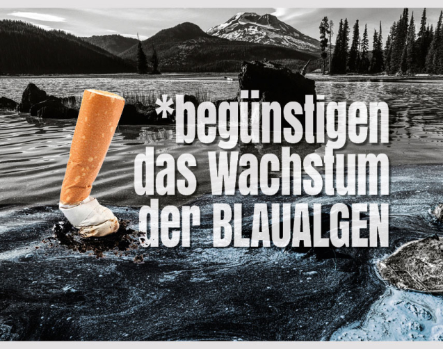 10BFT_TSCHICK_ROEHRL_BLOG_BLAU_ALGEN_A1