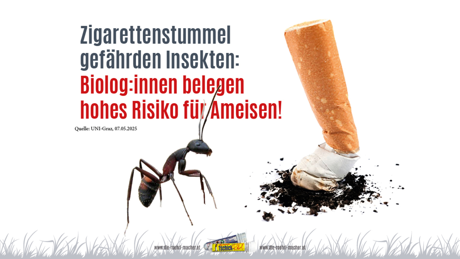 10BFT_TSCHICK_ROEHRL_BLOG_AMEISEN