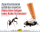 10BFT_TSCHICK_ROEHRL_BLOG_AMEISEN