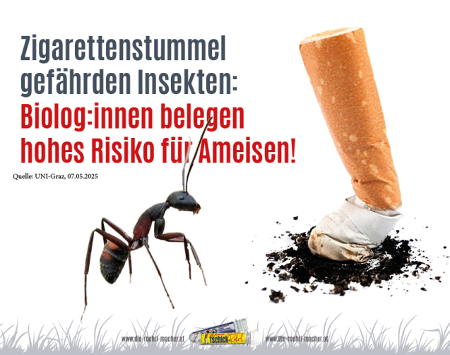 10BFT_TSCHICK_ROEHRL_BLOG_AMEISEN